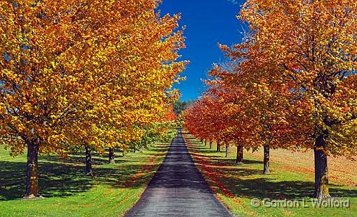 Autumn Farm Lane_23662.jpg - Photographed near Peterborough, Ontario, Canada.
